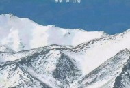 生命树疑被恶意评分,生命树国语版叫什么？