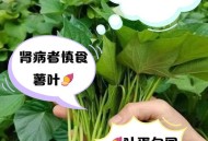 红薯叶一斤卖300,食用红薯叶哪个品种好？