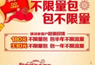 中国假期吸世界流量,办理的假日流量怎么不可以用？