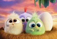 愤怒的小鸟回归中国,愤怒的小鸟何时出来的？