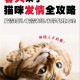 制止乱喊乱叫遭群殴,有哪位高人能介绍几首乱喊乱叫的而且好听点的歌？
