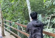 游客将蜂猴摔地离去,广西话麻喽什么意思？