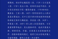 男子殴打辅警被拘,殴打执勤协警构成妨害公务罪怎么处罚？