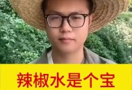 红油面皮里发现蛆,辣椒水加醋能防止青虫吗？