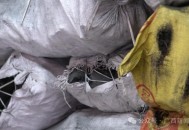 老板烤地瓜中毒,老板烤地瓜中毒视频