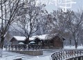 北京下雪了,北京什么时候下雪？