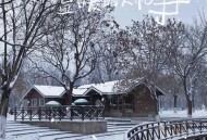 北京下雪了,北京什么时候下雪？