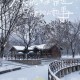 北京下雪了,北京什么时候下雪？