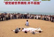 游客自驾撞死6匹马,游客自驾撞死6匹马视频