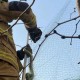 小区惊现2米滑鼠蛇,小区惊现2米滑鼠蛇什么意思