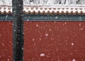 北京的雪下大了,北京冬天雪下的大吗？