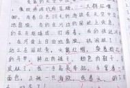 男童被笔扎伤或失明,假如我是一支笔仿写？