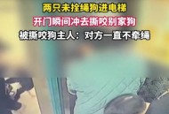 男童被犬只撕咬下体,就黑衣女子不牵狗绳子，狗咬伤男子下体，你怎么看？