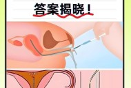 有公司开发人造子宫 ,大家怎么看待人造子宫或者由机器生育？