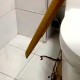 上厕所被蛇顶到屁股,家里卫生间进了蛇？