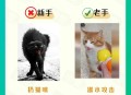 教师当学生面踩死猫,踩死小猫需要负责任吗？