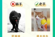 教师当学生面踩死猫,踩死小猫需要负责任吗？