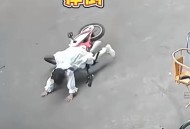 骑车射杀狗狗后偷走,骑车，被一小狗追着想咬我，下车拿石头砸它，砸死它需要赔吗？