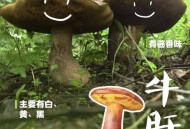 吃菌中毒3死2伤,吃菌中毒死亡