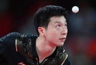 马龙国家级教练资格,马龙教练证