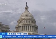 美政府停摆11天,美联邦政府史上最长停摆，宣布紧急状态是出路吗？你怎么看？