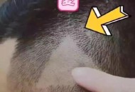 男子剪发耳朵被剪裂,剪到顾客耳朵怎么赔偿？