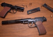 玩手枪失手击毙自己 ,9x19mm手枪能一枪放倒老虎吗？