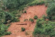 山体滑坡致房屋被埋,南溪暴雨致山体滑坡，男子在自家屋后取工具时，双腿被垮塌山体一前一后埋压，被消防队员成功救出。你怎么看？