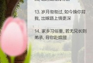 弟弟照护两姐姐28年,弟弟照护两姐姐28年的文案