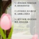 弟弟照护两姐姐28年,弟弟照护两姐姐28年的文案
