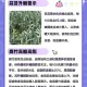 这些行为会加速升糖,迅速升糖的食物