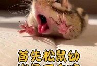 被窝钻进30厘米老鼠,老鼠会不会爬到床上咬人？