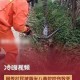 被蛇咬伤网友救命,被蛇咬伤网友救命视频