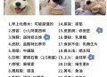狗狗靠捡瓶存款过万,今天捡了只小狗，这种小狗吃什么东西？怎么养？