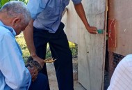 2岁娃误打疫苗,羊病了误打疫苗怎么补救？