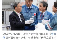 日本再次筹建核电站,日本再次筹建核电站的原因