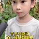 这3种二维码不能扫,用手机扫二维码存在多少种风险？
