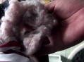 黑心棉被用作婴儿被,我是女生，睡过一年60元钱的黑心棉被子，有啥坏处吗？现在脸上长满了痘痘和那有关吗？