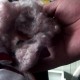 黑心棉被用作婴儿被,我是女生,睡过一年60元钱的黑心棉被子,有啥坏处吗?现在脸上长满了痘痘和那有关吗?