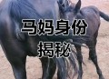 看手机被骡子撞下山,马和驴的后代是马新物种吗？