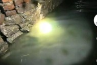 失联20余日男子身亡,失联20余日男子身亡视频