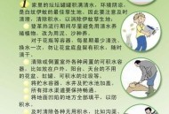 一地登革热疫情上升,樟树市发生登革热疫情，约有200人感染登革热病毒，数字仍在滚动变化，目前暂未有重症及死亡病例发生，你怎么看？