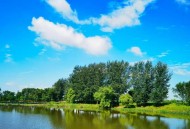 湿地公园现白色泡沫,铁岭新区莲花湖湿地有几个景点？