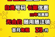 偷手机只为蹭流量,偷手机只为蹭流量违法吗