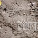 兵马俑上现工匠指纹,兵马俑工匠的指纹