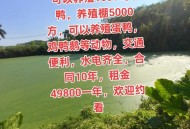 别墅遭侵占养鸡鸭,别墅小区能养鹅吗？