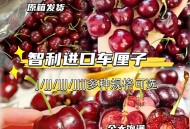 智利车厘子更便宜了,智利车厘子更便宜了吗