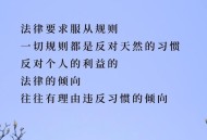法律面前一律平等,法律面前一律平等原则是什么？
