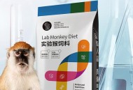 实验猴明年订单排满,实验猴多少钱