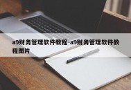 a9财务管理软件教程-a9财务管理软件教程图片